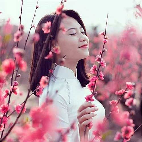 Nhạc Xuân 2020 Nhạc Tết Mới Nhất Chọn Lọc Ca Khúc Mừng Xuân