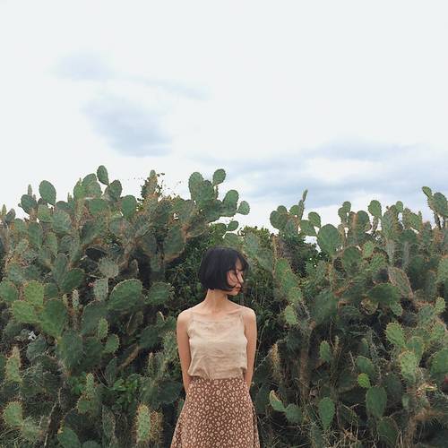 Liên Khúc Đường Trường Sơn Xe Anh Qua - Nhạc Tiền Chiến Cực Hay