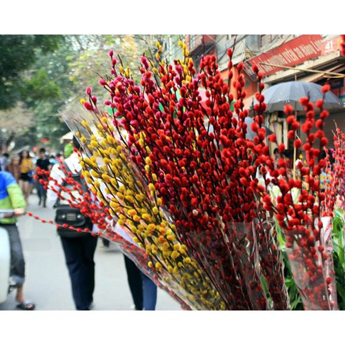 Tuyển Chọn Liên Khúc Nhạc Xuân Hải Ngoại Bolero Cực Hay