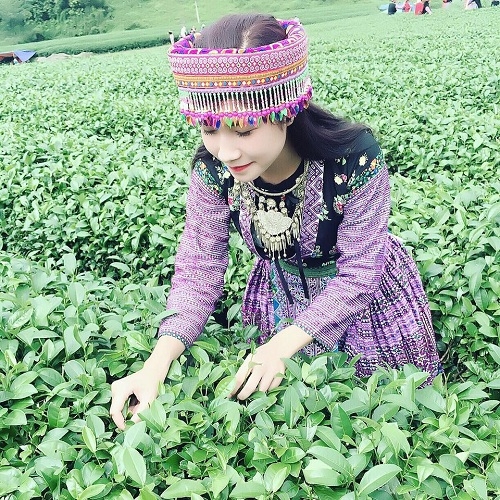 Album Miền Trung Tìm Về Thương Về Xứ Nghệ Da Diết Của Hà Quỳnh Như Phần 2