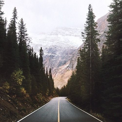 Nhạc Đồng Quê Cha Cha Cha Hay Nhất