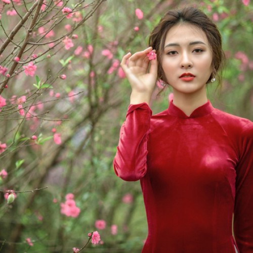 Những Ca Khúc Nhạc Thời Chiến Trữ Tình Song Ca Thu Hiền Trung Đức Hay Nhất