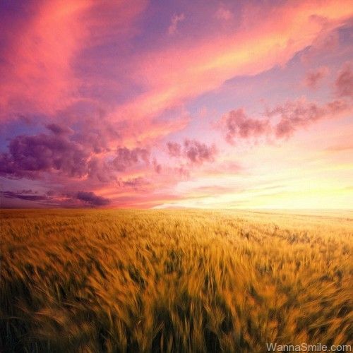 Liên Khúc Tình Ca Đồng Quê Đất Nước Nhạc Quê Hương Mới