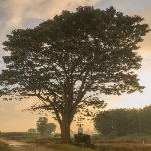 Nhạc Dân Gian Tuổi Thơ Lắng Đọng Da Diết Nhất Của Mỹ Tâm