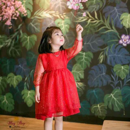 Đan Nguyên Tuyển Tập Nhạc Trữ Tình Bolero Mùa Xuân Hay Nhất