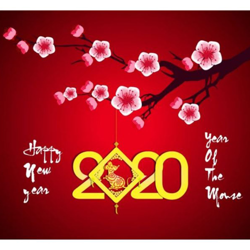 Xuân Xa Nhà Trữ Tình Bolero Hải Ngoại Mùa Xuân Hay Nhất