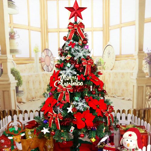 Tà Áo Đêm Noel - Bài Thánh Ca Buồn - Nguyên Sang Lệ Hằng Hữu Tình Lệ Thu