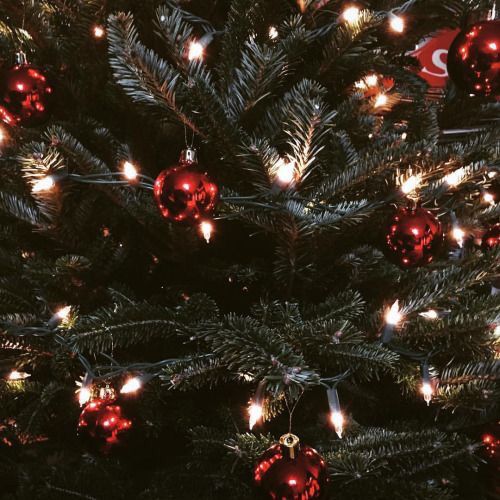 Tuyển Tập Thánh Ca Giáng Sinh Chọn Lọc Hay Nhất 2019