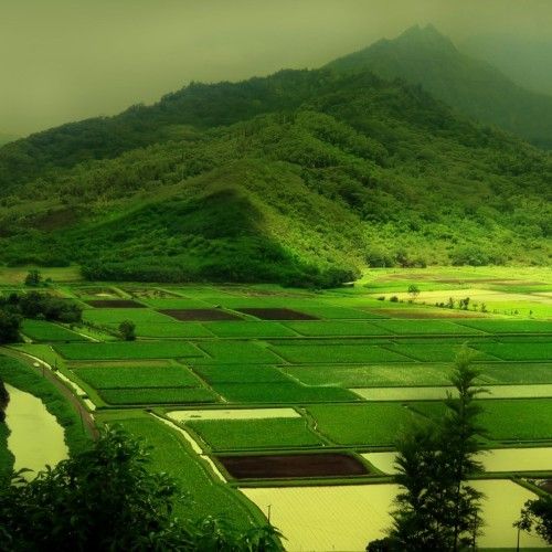 Liên Khúc Vọng Cổ Miền Nam Tuyển Chọn Hay Nhất Vol 1