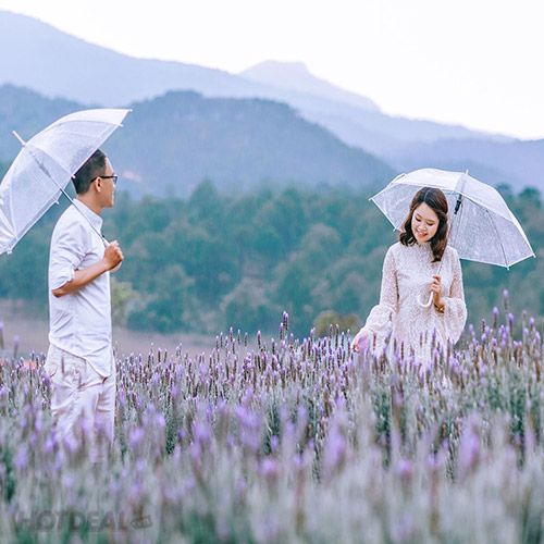 Nhạc Dân Gian Đường Tím Bằng Lăng Chuyện Tình Người Đan Áo Rumba