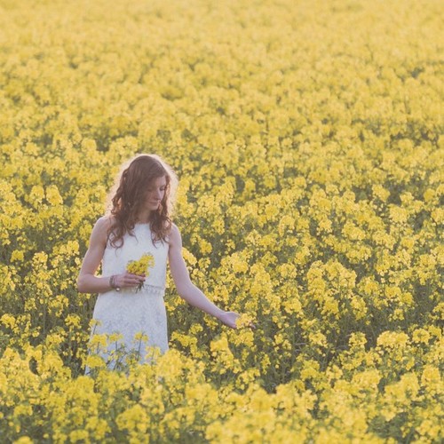 Những Ca Khúc Đồng Quê Việt Nam Hay Nhất Mọi Thời Đại Phần 2