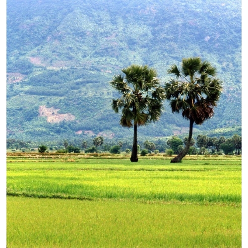 Ca Cổ Miền Nam Liên Khúc Ca Cổ Cải Lương Xưa Hay Nhất Phần 2