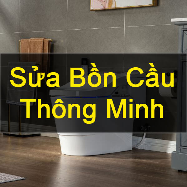 sua bon cau thong minh